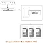 Công nghệ chế bản CTP (Computer to Plate)