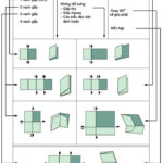Tay sách là sản phẩm nhận được sau quá trình gấp tờ in