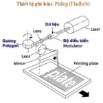 Thiết bị ghi bản Phẳng (Fladbeb)