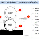 cau-tao-1-cum-in-cua-may-in-ong-dong